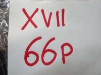 Peugeot 508 lift решітка радіатора решітка бампера решітка радіатора хром 9807631077 98078737vd Доставка, фото thumb