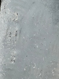 фото thumb №2, Scania s r ngs ng захист каталізатора dpf 2551485