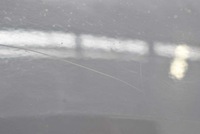 фото thumb №6, Крила правий перед передній siwy renault kangoo 2 ii 07-13