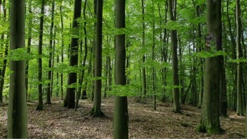 Фотоловушка DraVires, ИК охотничья лесная камера, фотоловушка + наклейка