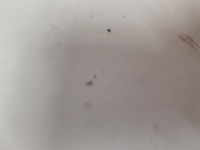 фото thumb №9, Балка бампера передньої перед mazda rx-8