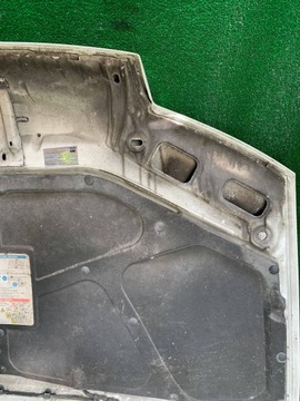 фото thumb №9, Крышка передняя капот двигателя fiat punto ii 249/f wwa