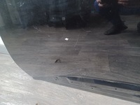 фото thumb №14, Двері ---- toyota bz4x ---- subaru solterra ---- передні ліва ----