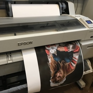 Матовая фотография, печать EPSON PHOTO, графика 100X250 MAT