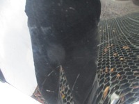 фото thumb №8, Крыло левый перед audi a4 b8 8k0 08r-