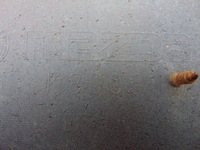 фото thumb №15, Бампер задня mazda 3 bl lift 2011-2013 pod pdc 27a