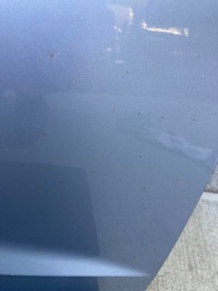 фото thumb №6, Дверь правые перед audi a3 8v sportback lz7g