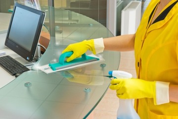 Ручной шпатель TTS Clean Glass 30 см для мытья окон