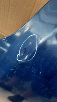 фото thumb №2, Капот opel zafira a 02r