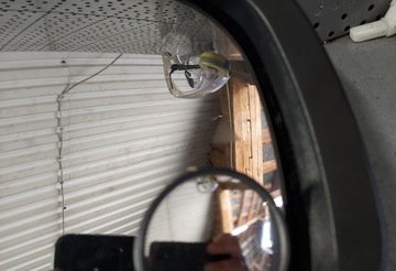 фото thumb №5, Voyager town caravan 08-20r дзеркало праві blind s