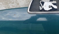 фото thumb №6, Капот крышка peugeot 306 lift poqy