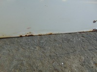 фото thumb №9, Дверь правое перед partner berlingo iii белый ewpa