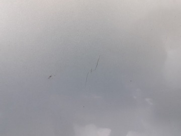 фото thumb №7, Капот renault kangoo teb64