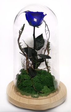 Настоящая вечная роза в стакане XL BLUE Forest