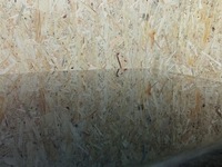 фото thumb №5, Крышка задняя зад audi a8 s8 d4 lz9y чёрная