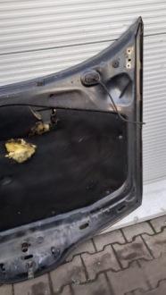 фото thumb №16, Капот renault laguna 2 kombi 02r