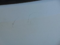 фото thumb №6, Дверь левая перед peugeot partner berlingo iii 2008-białe ewpa