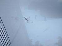 фото thumb №6, Капот mercedes r-klasa 251 w251 lata 2005-2010 цвет c775 оригинал лак