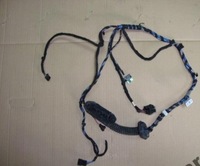 фото thumb №1, Bmw x3 електропроводка джгут двері правий перед