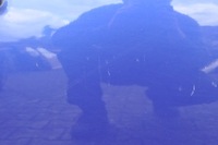 фото thumb №7, Hyundai i20 двері правий перед передні 3d