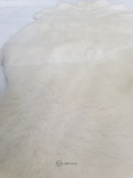 Овчина - Белый - Натуральный - S - короткий ворс - короткий флис