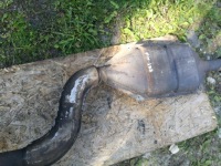 Выхлоп катализатор bmw e21 320i m10 в Украине, фото thumb