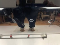 фото thumb №6, Chevrolet camaro дверь правое пассажира 2016+