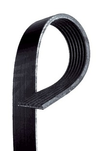 фото thumb №1, Ремінь багатореберний nissan cabstar 2.5 2006