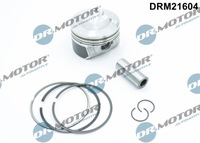 фото thumb №1, Поршень двигателя dr.motor automotive drm21604