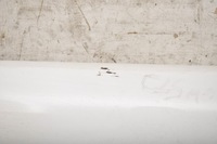 фото thumb №7, Mercedes w172 r172 накладка порог правая amg a1726980354