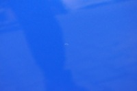 фото thumb №12, Opel corsa f двері правий перед передні 5d