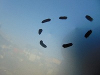 фото thumb №10, Дверь сдвижные правое ducato jumper boxer 06-14r