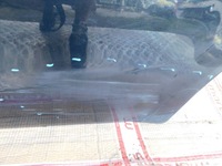 фото thumb №5, Двері задня задні ліва opel agila b