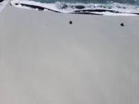 фото thumb №12, Mazda 6 lift капот крышка двигателя 28d