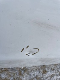 фото thumb №8, Дверь задние задняя левая peugeot 308 ii t9 13- kombi