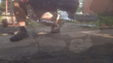 фото thumb №8, Peugeot 308 cc двері перед правий kdj