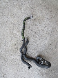 фото thumb №1, Wąż wody renault megane 4 iv 1.5 blue