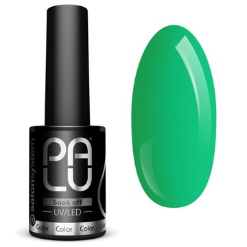 ГИБРИДНАЯ КРАСКА KAWASAKI KA3 PALU GREEN -11 G