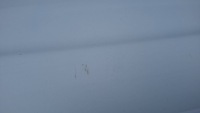 фото thumb №6, Кришка задня зад комплектна citroen c3 ii 10/16 код ewp