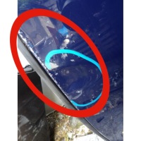 фото thumb №2, Двері ліва задні dacia lodgy