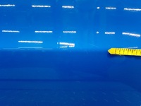 фото thumb №6, Fiat panda ii дверь перед правое передние 734a