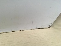 фото thumb №13, Двері правий перед ford transit 06-12 повний