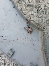 фото thumb №7, Молдинг na крыло левый задняя задняя левая hyundai tucson i 2.0 crdi 04-10r. eu