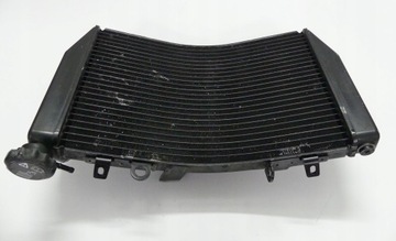 Полем Триумф скорость тройной 1050 11 + CH0 Cooler