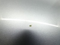 фото thumb №9, Капот кришка двигуна skoda octavia iii 5e 12-16r lf8l