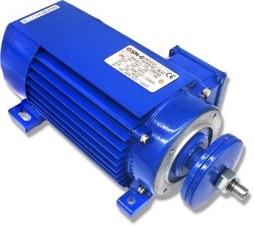 Dachshund Engine MSC 63 2-2P 3,0KW 2820OBR 230/400V