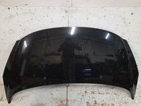 фото thumb №1, Капот peugeot 207 exlb