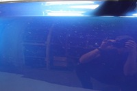 фото thumb №7, Дверь правый перед skoda octavia iii lift