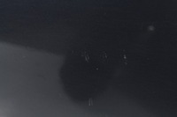 фото thumb №9, Дверь левый перед ford kuga mk1 h8 08-12