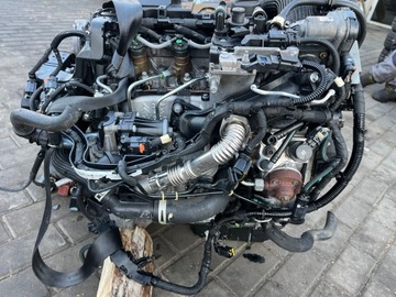 фото thumb №12, Двигатель комплектный peugeot 208 citroen c3 ii 1.4 синий hdi 8h01 10fdcg